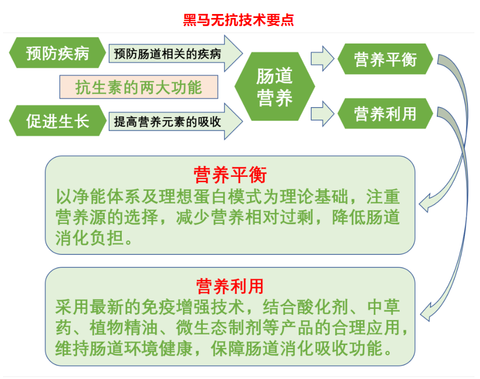無(wú)抗新技術(shù)，..