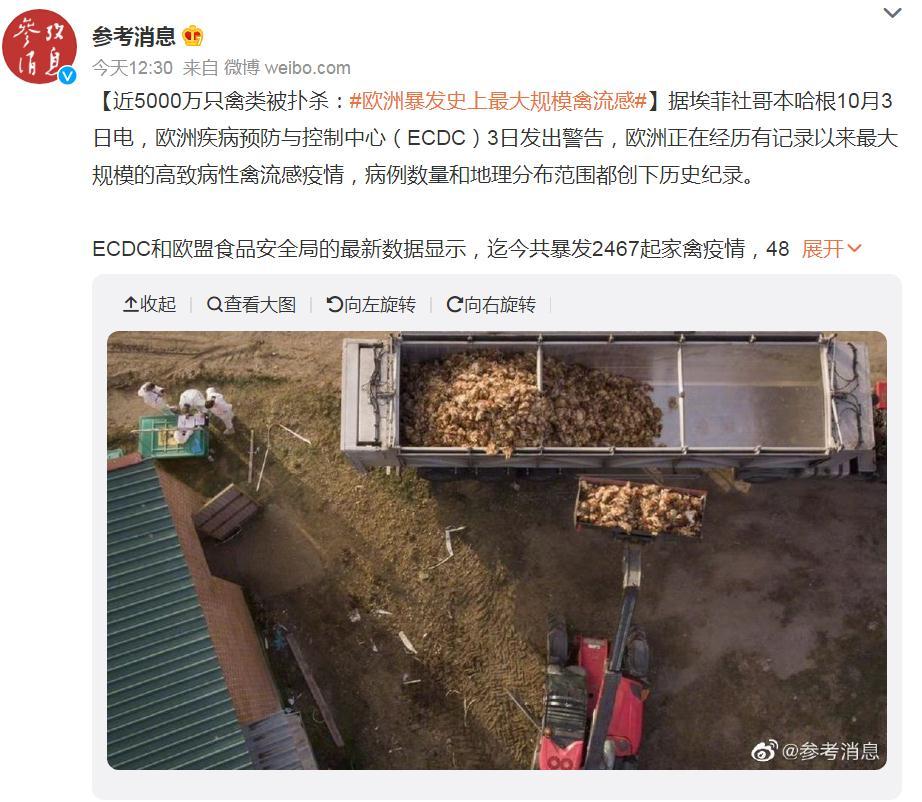 關注！歐洲暴發(fā)史上最大規(guī)模禽流感，波及37個國家！近5000萬只禽類被撲殺，蛋價會上漲么？