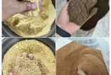 飼料原料驗收的“望、聞、問、切”